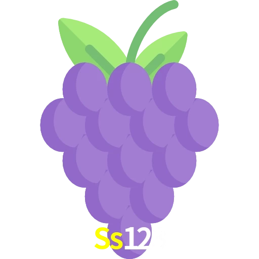 Ss123